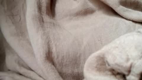 prettyrose01 online show from July 2026 10:48:01 PM