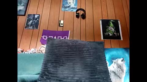 prettysolid7 online show from October 2025 01:11:01 PM