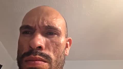 primercampeon79 online show from December 2025 04:10:01 AM