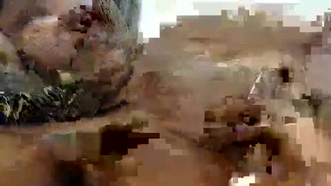 Princess Asshole online show from October 2025 10:24:01 AM