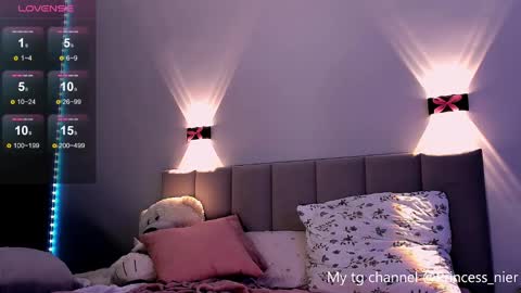 Snapshot of princess_nier chatting on December 2024 10:45:01 PM Princess Diana online show from December 2024 10:45:01 PM