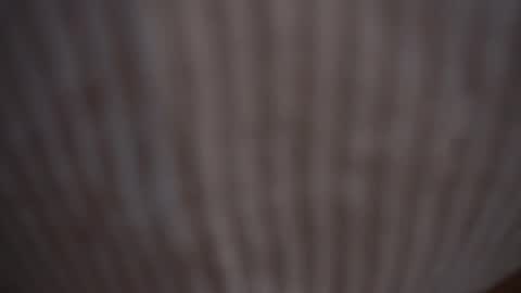 Snapshot of princessasiana chatting on February 2025 11:14:02 AM Assi  Incognito girl online show from February 2025 11:14:02 AM
