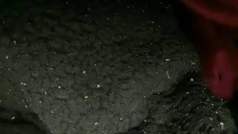 Snapshot of princessoftenis44 chatting on January 2026 01:08:02 AM princessoftenis44 online show from January 2026 01:08:02 AM