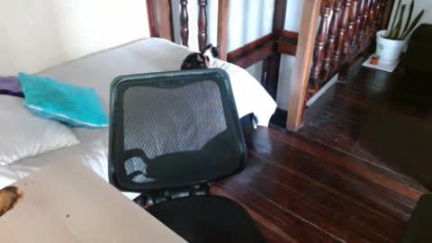 prismm_ online show from September 2025 01:21:01 PM