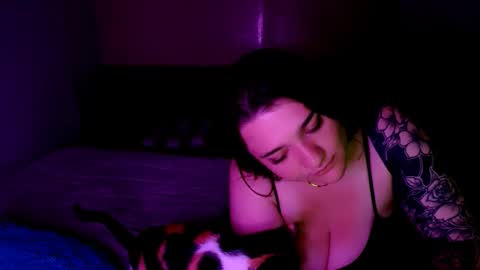 prismm_ online show from February 2026 04:05:02 AM