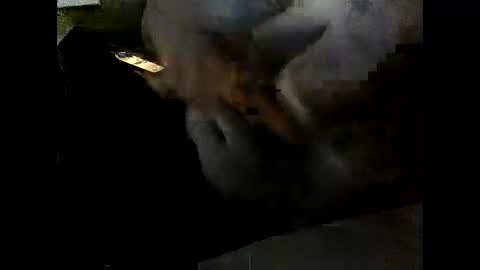 Clothingoptional online show from December 2025 06:03:02 PM