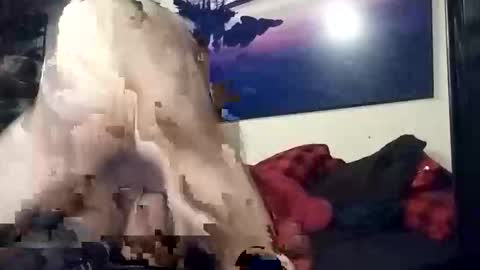 Snapshot of properttw chatting on October 2025 04:29:01 PM properttw online show from October 2025 04:29:01 PM