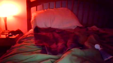 puffer101 online show from October 2025 09:29:01 AM