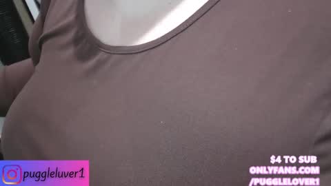 Puggie -  online show from February 2025 11:58:02 PM