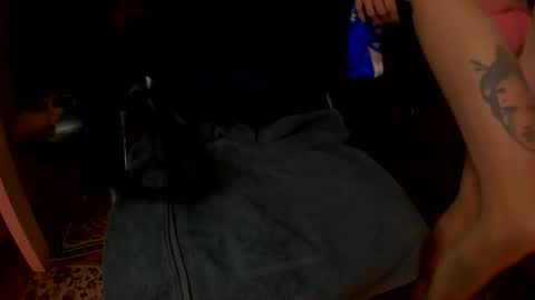 Snapshot of pussyandcocksucker chatting on December 2024 04:01:01 AM pussyandcocksucker online show from December 2024 04:01:01 AM