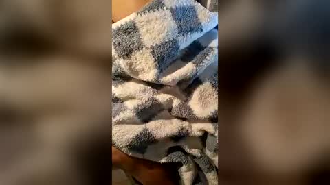 pussyeater420696953 online show from June 2026 06:38:01 AM