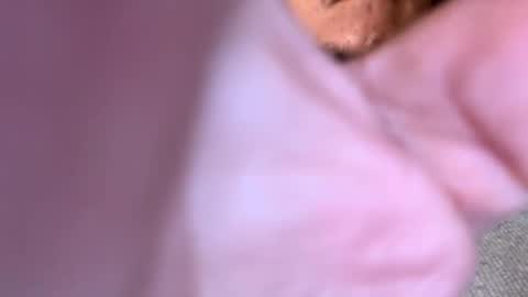 Snapshot of pussyeats1993 chatting on February 2025 09:42:01 PM pussyeats1993 online show from February 2025 09:42:01 PM