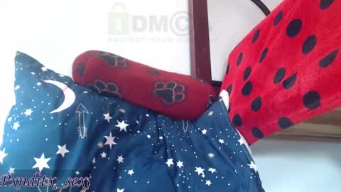 Snapshot of pxnditx_sexi chatting on February 2025 04:11:02 PM Abigail aby online show from February 2025 04:11:02 PM