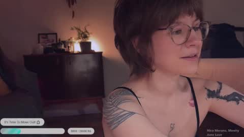    online show from December 2025 03:41:01 PM