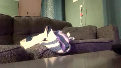 queenkitty477 online show from January 2026 04:27:02 AM