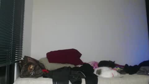 Nico online show from January 2025 03:15:02 AM