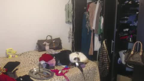 Nico online show from February 2025 04:00:02 AM