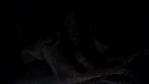 quincy joy11 online show from March 2026 07:15:01 AM