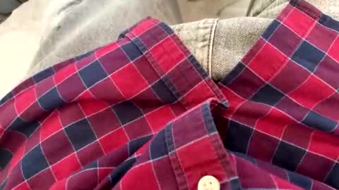 rad2615782 online show from February 2026 10:19:02 AM