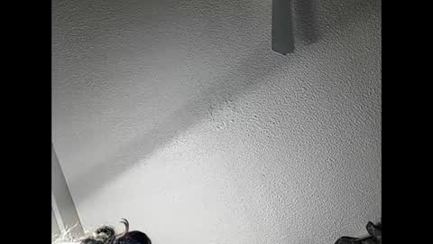 RamonaJ online show from February 2025 04:51:02 AM