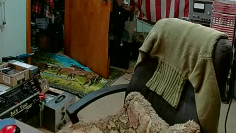 Snapshot of randalltotazz chatting on February 2025 07:58:01 PM Randall online show from February 2025 07:58:01 PM