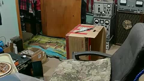 Snapshot of randalltotazz chatting on November 2025 11:26:01 PM Randall online show from November 2025 11:26:01 PM