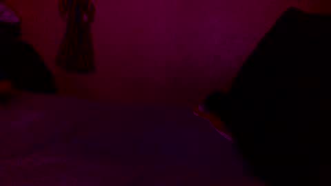 Snapshot of randobad12 chatting on January 2025 10:06:02 PM randobad12 online show from January 2025 10:06:02 PM