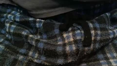 Snapshot of ratlesnk chatting on November 2025 09:37:02 AM boneifyed online show from November 2025 09:37:02 AM