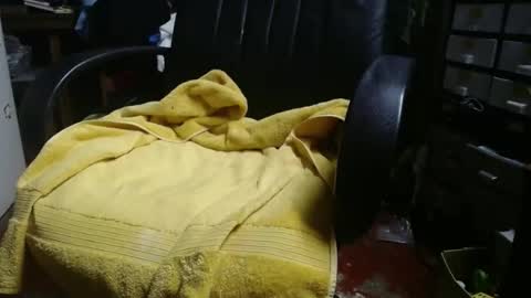 Ray online show from November 2025 12:27:02 PM