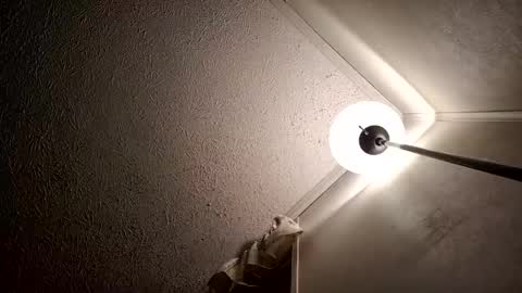 Snapshot of razalgirls chatting on November 2025 03:48:01 AM razalgirls online show from November 2025 03:48:01 AM