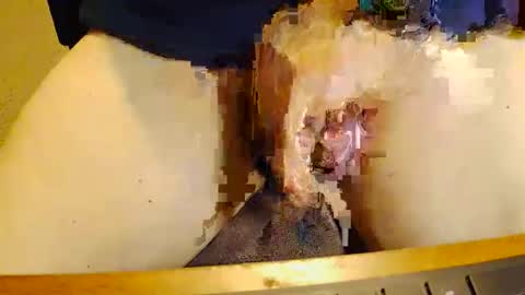 Snapshot of rb69er905364 chatting on November 2025 10:04:01 PM rb69er905364 online show from November 2025 10:04:01 PM