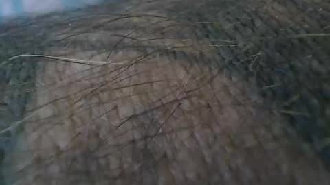 realrubpirate online show from October 2025 09:21:02 AM