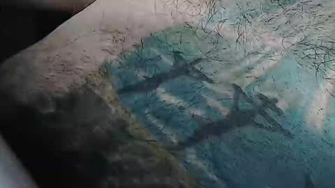 realrubpirate online show from February 2026 09:13:02 AM