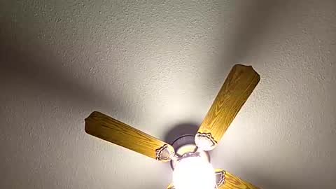 red24devils online show from February 2026 12:50:02 AM