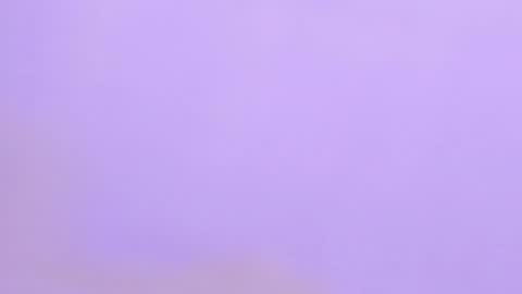 Stefany    online show from December 2024 12:06:02 AM