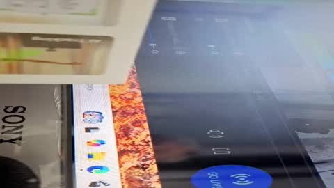 Alex online show from October 2025 07:09:02 AM