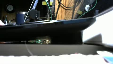 redneck1956 online show from January 2025 01:25:02 PM