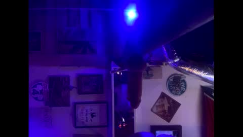 Snapshot of reeferleefer chatting on October 2025 10:13:02 AM Lee online show from October 2025 10:13:02 AM