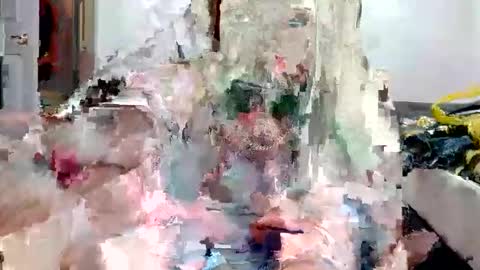 remshotdt online show from December 2024 05:53:02 AM