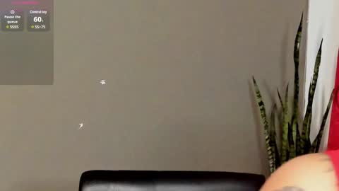 renatawilsom online show from February 2025 02:08:02 AM