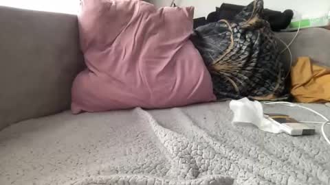 Snapshot of reyna77 chatting on January 2025 09:46:01 AM reyna77 online show from January 2025 09:46:01 AM