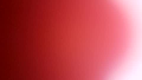 Snapshot of rhino69xx chatting on December 2024 06:54:02 AM rhino69xx online show from December 2024 06:54:02 AM