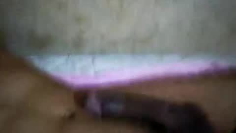 rica1234567890961640 online show from October 2025 05:19:02 AM
