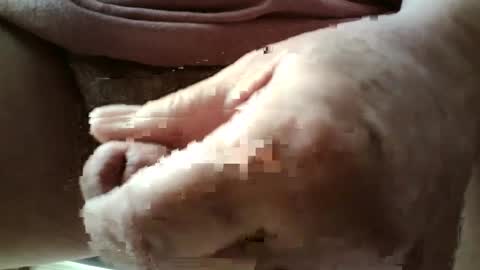 Always crusing cams online show from December 2024 03:25:02 PM