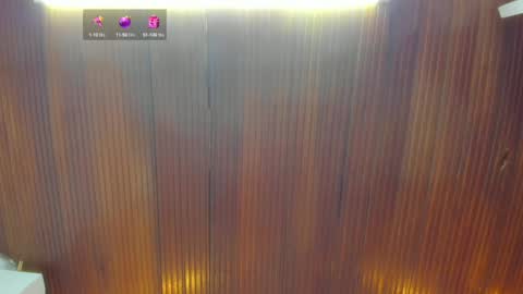 Snapshot of riley_reid_19 chatting on December 2024 03:02:02 AM kamila online show from December 2024 03:02:02 AM