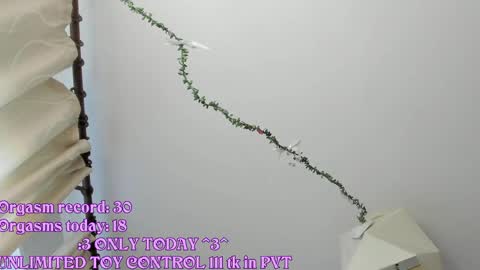 Snapshot of rileynymph chatting on May 2026 03:24:02 AM My name is Riley Like my broadcast pls 3 online show from May 2026 03:24:02 AM