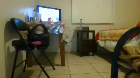Snapshot of rincon333 chatting on July 2026 06:05:01 AM rincon333 online show from July 2026 06:05:01 AM