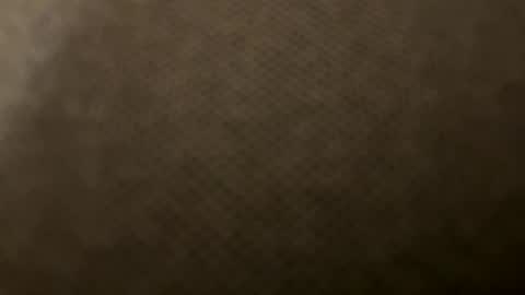 Robin online show from January 2025 06:54:02 PM