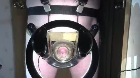 Snapshot of robodickmilker chatting on February 2025 08:18:02 AM Robodickmilker online show from February 2025 08:18:02 AM