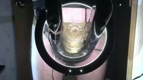 Snapshot of robodickmilker chatting on September 2025 07:04:01 PM Robodickmilker online show from September 2025 07:04:01 PM